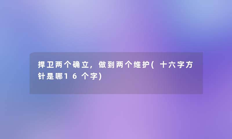 捍卫两个确立,做到两个维护(十六字方针是哪16个字)