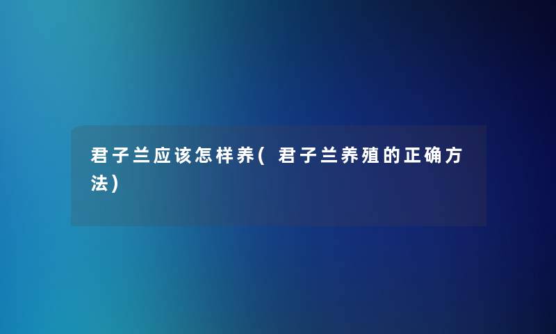 君子兰应该怎样养(君子兰养殖的正确方法)