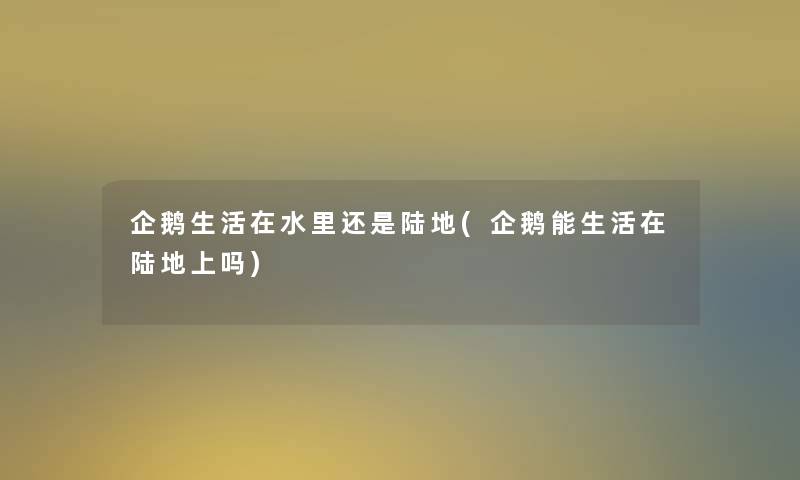企鹅生活在水里还是陆地(企鹅能生活在陆地上吗) 企鹅生活在水里还是陆地(企鹅能生活在陆地上吗)
