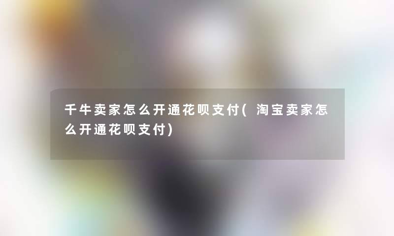 千牛卖家怎么开通花呗支付(淘宝卖家怎么开通花呗支付)