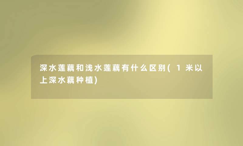 深水莲藕和浅水莲藕有什么区别(1米以上深水藕种植) 深水莲藕和浅水莲藕有什么区别(1米以上深水藕种植)