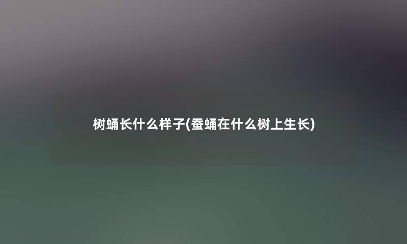 树蛹长什么样子(蚕蛹在什么树上生长)