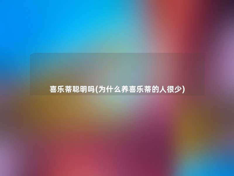 喜乐蒂聪明吗(为什么养喜乐蒂的人很少) 喜乐蒂聪明吗(为什么养喜乐蒂的人很少)