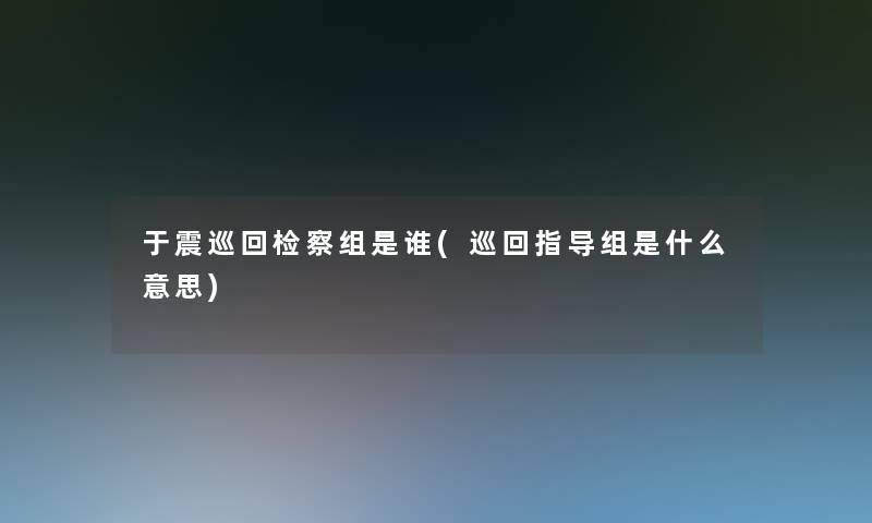 于震巡回检察组是谁(巡回指导组是什么意思)