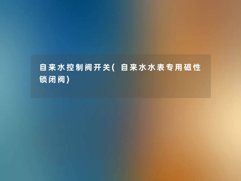 自来水控制阀开关(自来水水表专用磁性锁闭阀) 自来水控制阀开关(自来水水表专用磁性锁闭阀)