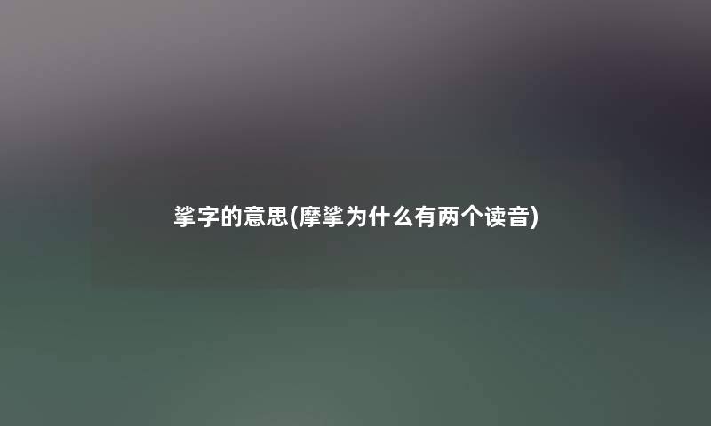 挲字的意思(摩挲为什么有两个读音)