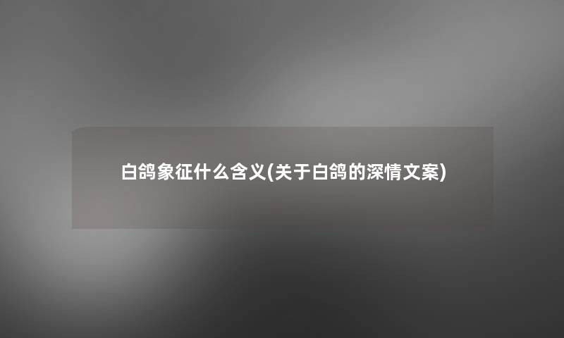 白鸽象征什么含义(关于白鸽的深情文案)