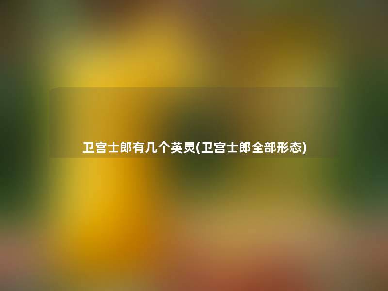 卫宫士郎有几个英灵(卫宫士郎整理的形态)