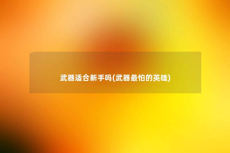 武器适合新手吗(武器怕的英雄)