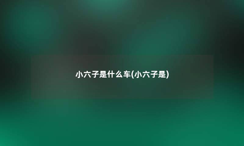 小六子是什么车(小六子是)