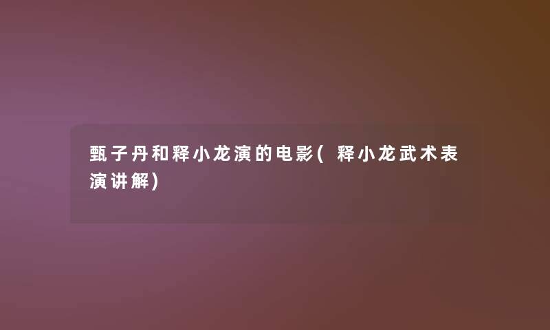 甄子丹和释小龙演的电影(释小龙武术表演讲解)