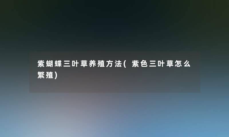 紫蝴蝶三叶草养殖方法(紫色三叶草怎么繁殖)