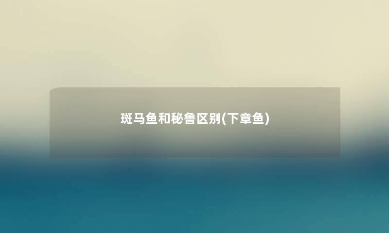 斑马鱼和秘鲁区别(下章鱼) 斑马鱼和秘鲁区别(下章鱼)