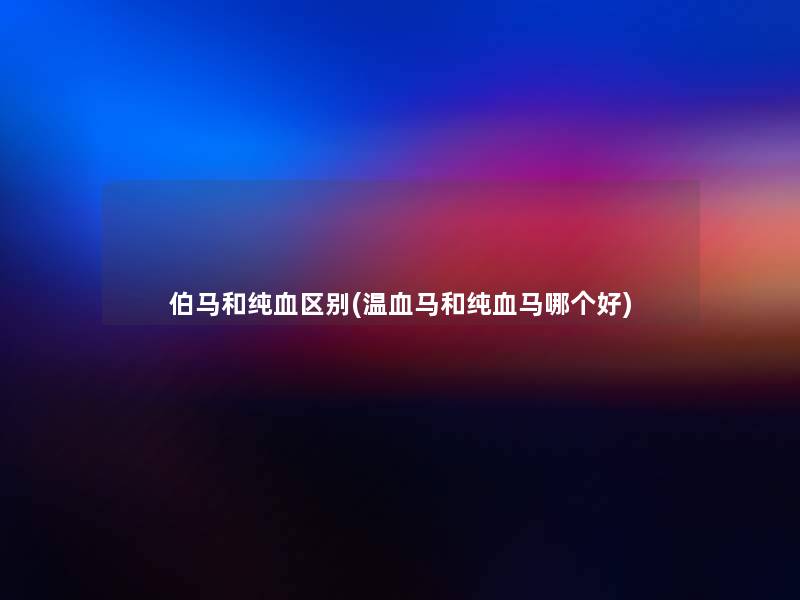 伯马和纯血区别(温血马和纯血马哪个好)