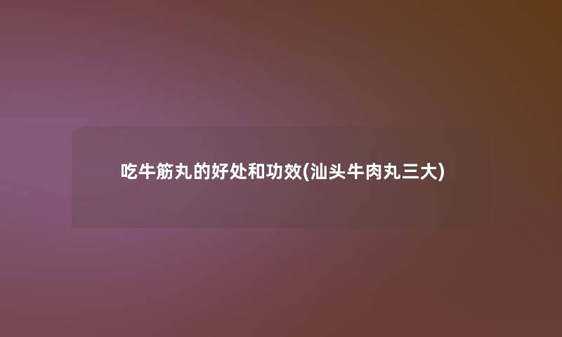 吃牛筋丸的好处和功效(汕头牛肉丸三大)