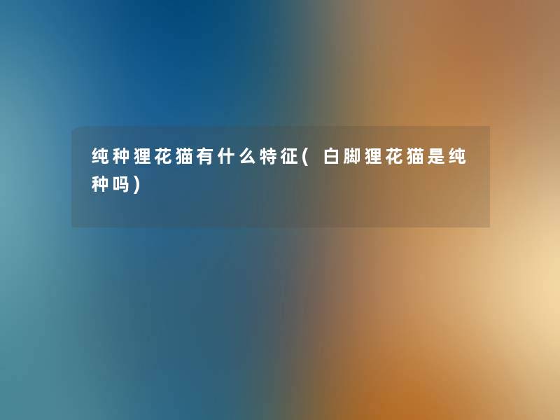 纯种狸花猫有什么特征(白脚狸花猫是纯种吗)