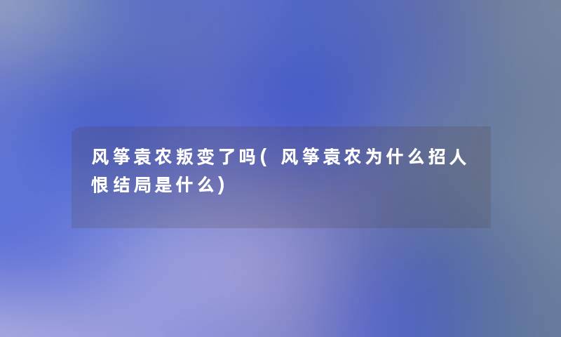风筝袁农叛变了吗(风筝袁农为什么招人恨结局是什么)