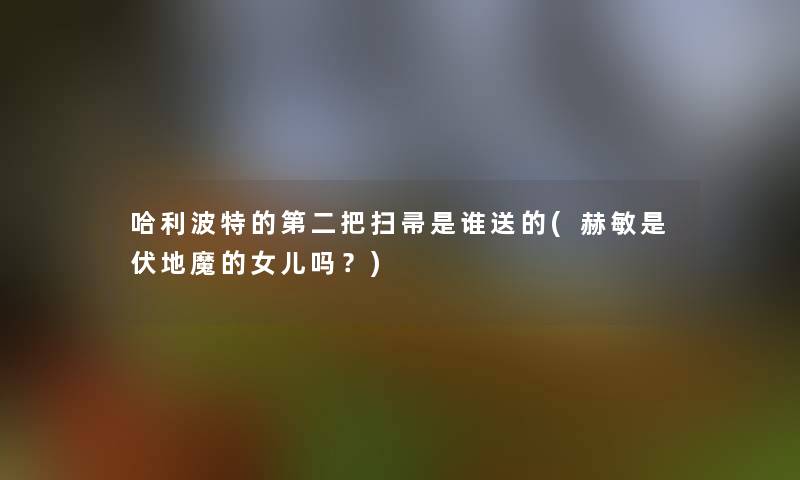 哈利波特的第二把扫帚是谁送的(赫敏是伏地魔的女儿吗？)