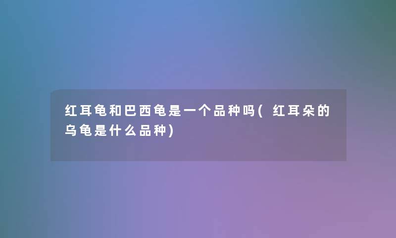 红耳龟和巴西龟是一个品种吗(红耳朵的乌龟是什么品种)