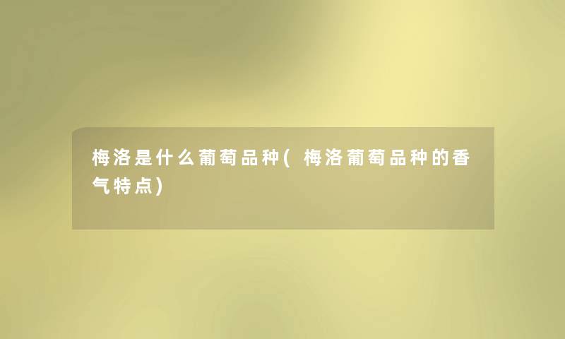 梅洛是什么葡萄品种(梅洛葡萄品种的香气特点) 梅洛是什么葡萄品种(梅洛葡萄品种的香气特点)