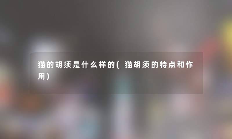 猫的胡须是什么样的(猫胡须的特点和作用) 猫的胡须是什么样的(猫胡须的特点和作用)
