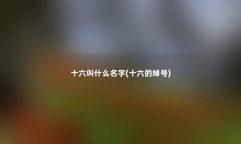 十六叫什么名字(十六的绰号)