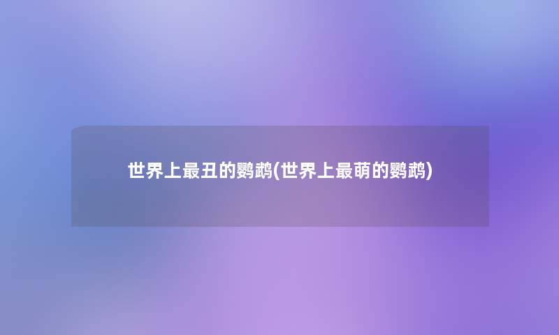 世界上丑的鹦鹉(世界上萌的鹦鹉) 世界上丑的鹦鹉(世界上萌的鹦鹉)
