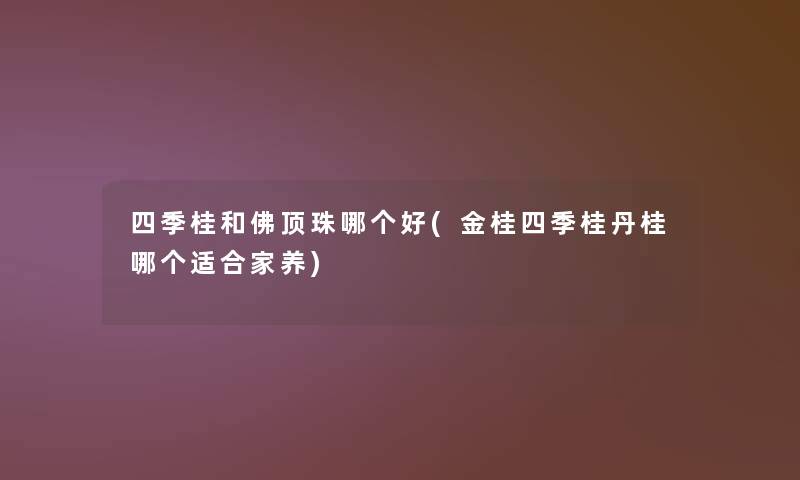 四季桂和佛顶珠哪个好(金桂四季桂丹桂哪个适合家养) 四季桂和佛顶珠哪个好(金桂四季桂丹桂哪个适合家养)